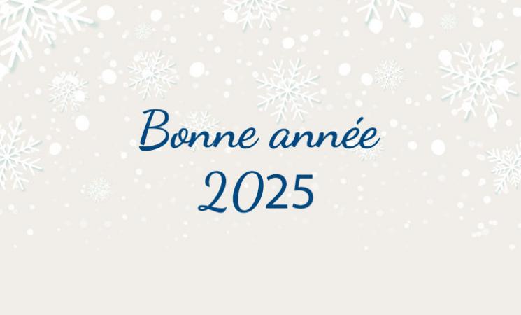 Bonne annnée 2025 !